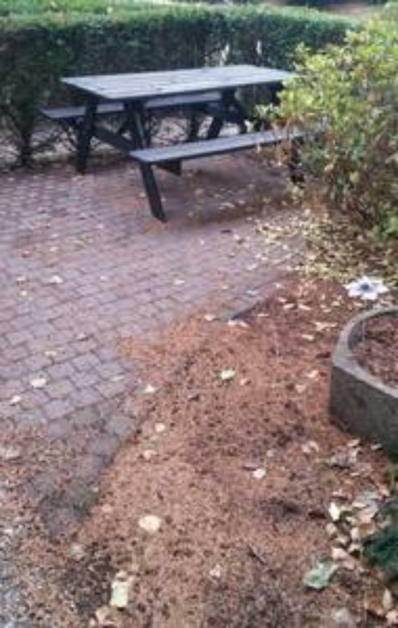 Appartement De Groote Peel Nederweert Exteriör bild